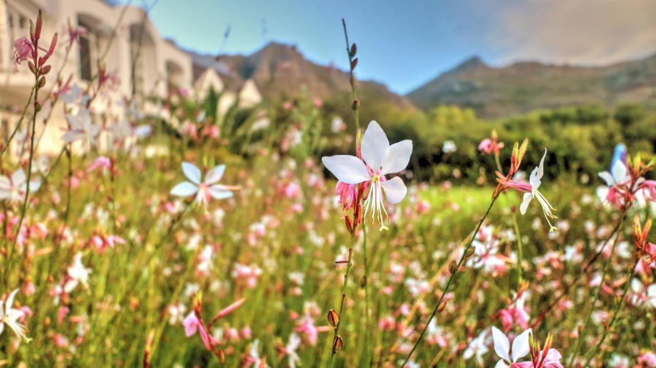 Hotel Thelab Cape Town Hout Bay Exterior foto